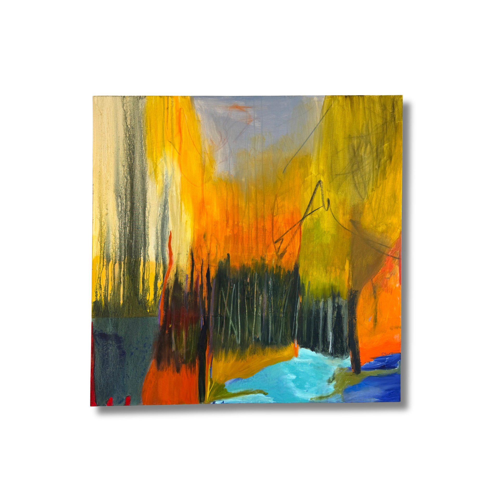 Mirrorball Gallery Presents “Looking Outward Inward”: A solo Exhibition by Caroline Young