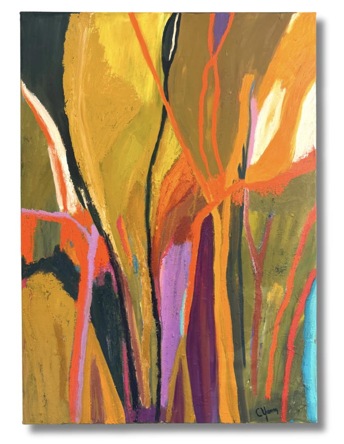 mirrorball art gallery tryon nc