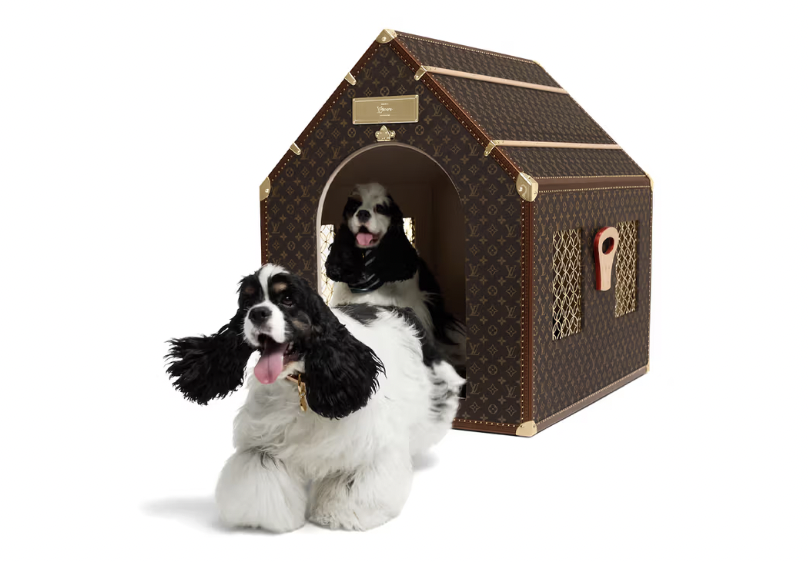 Pharrell Williams X The Louis Vuitton Hardsided Dogcase 