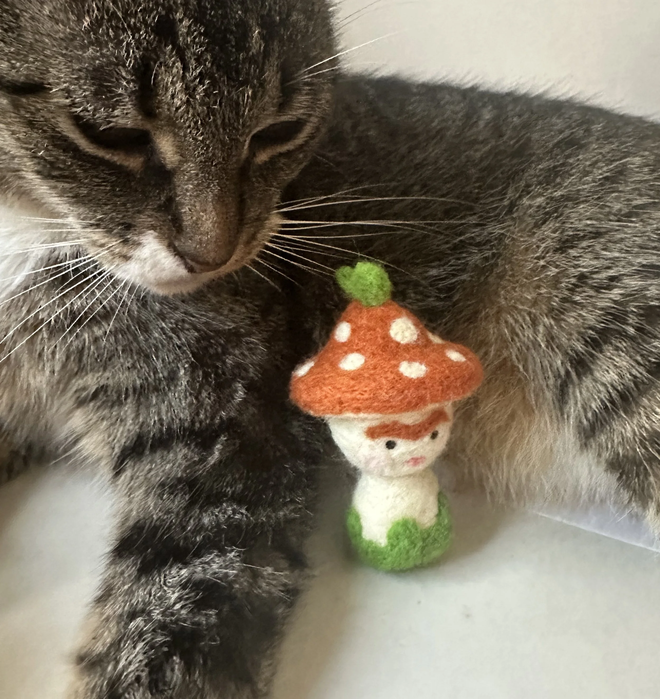 shinmoonfeltedfriend9.jpg