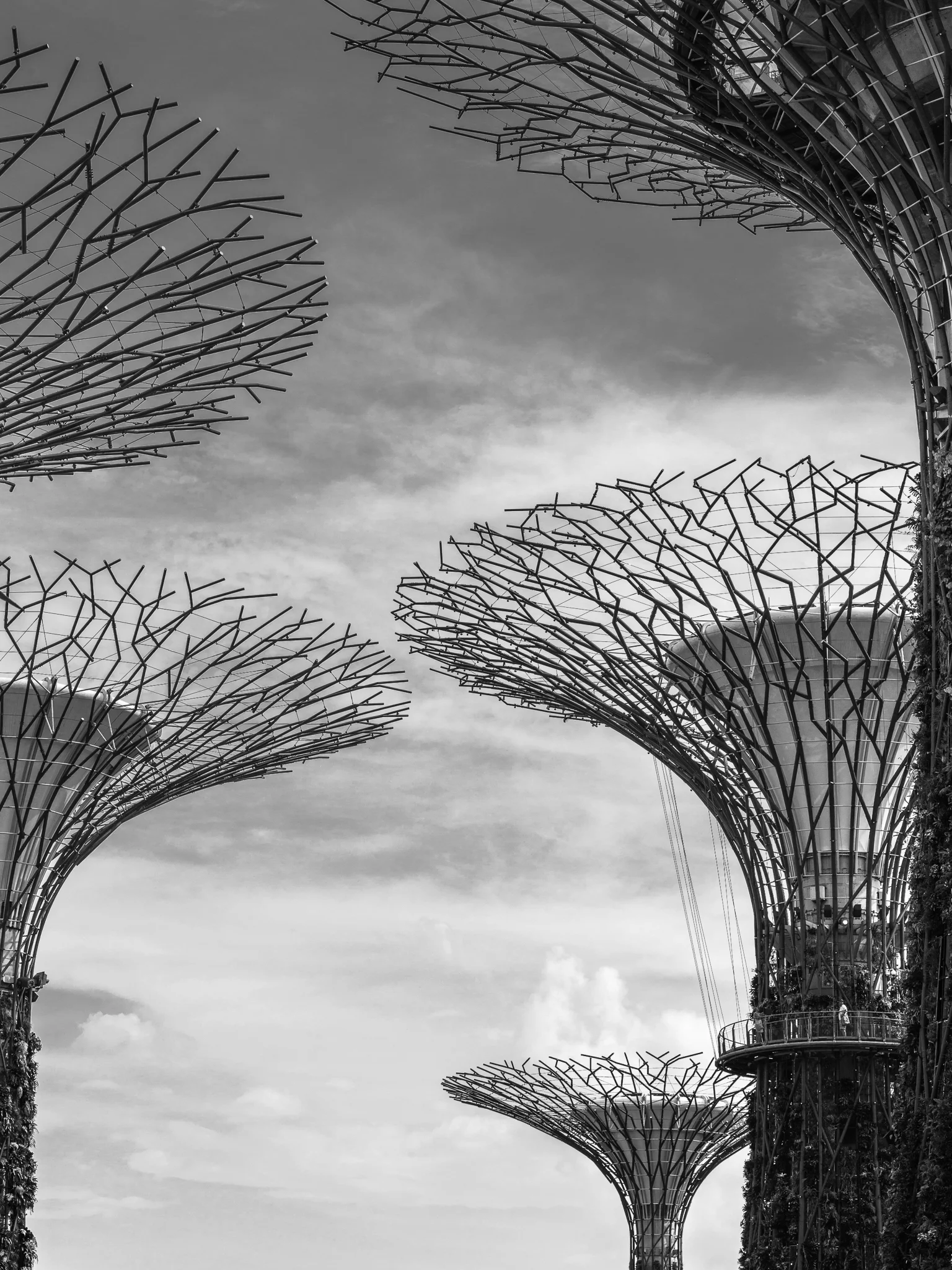 Gardens by the Bay, Singapore