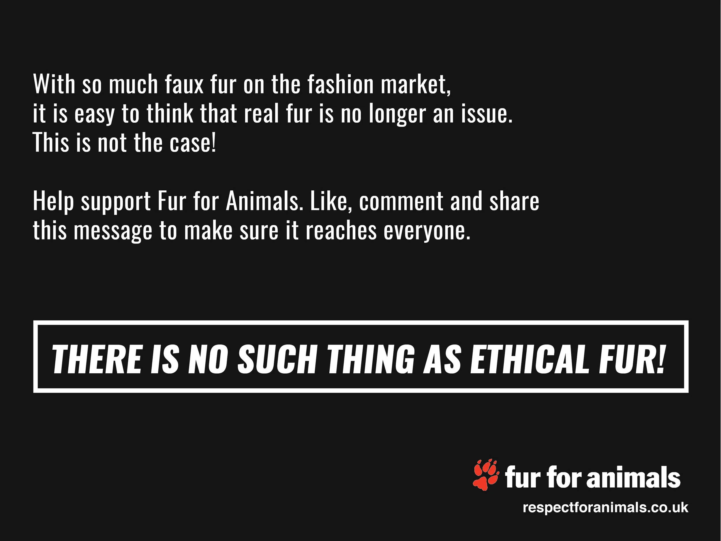 FurForAnimals_v4_horizontal4.jpg