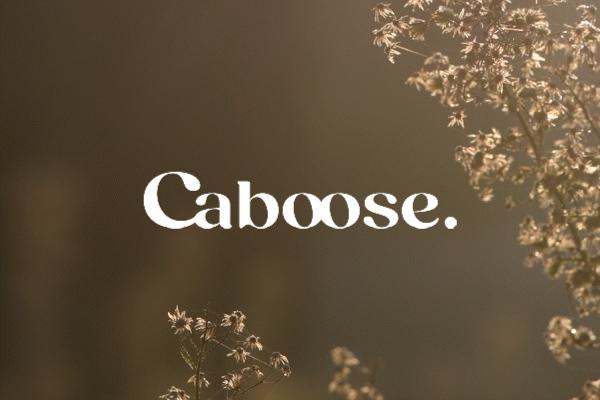 Caboose-02.gif