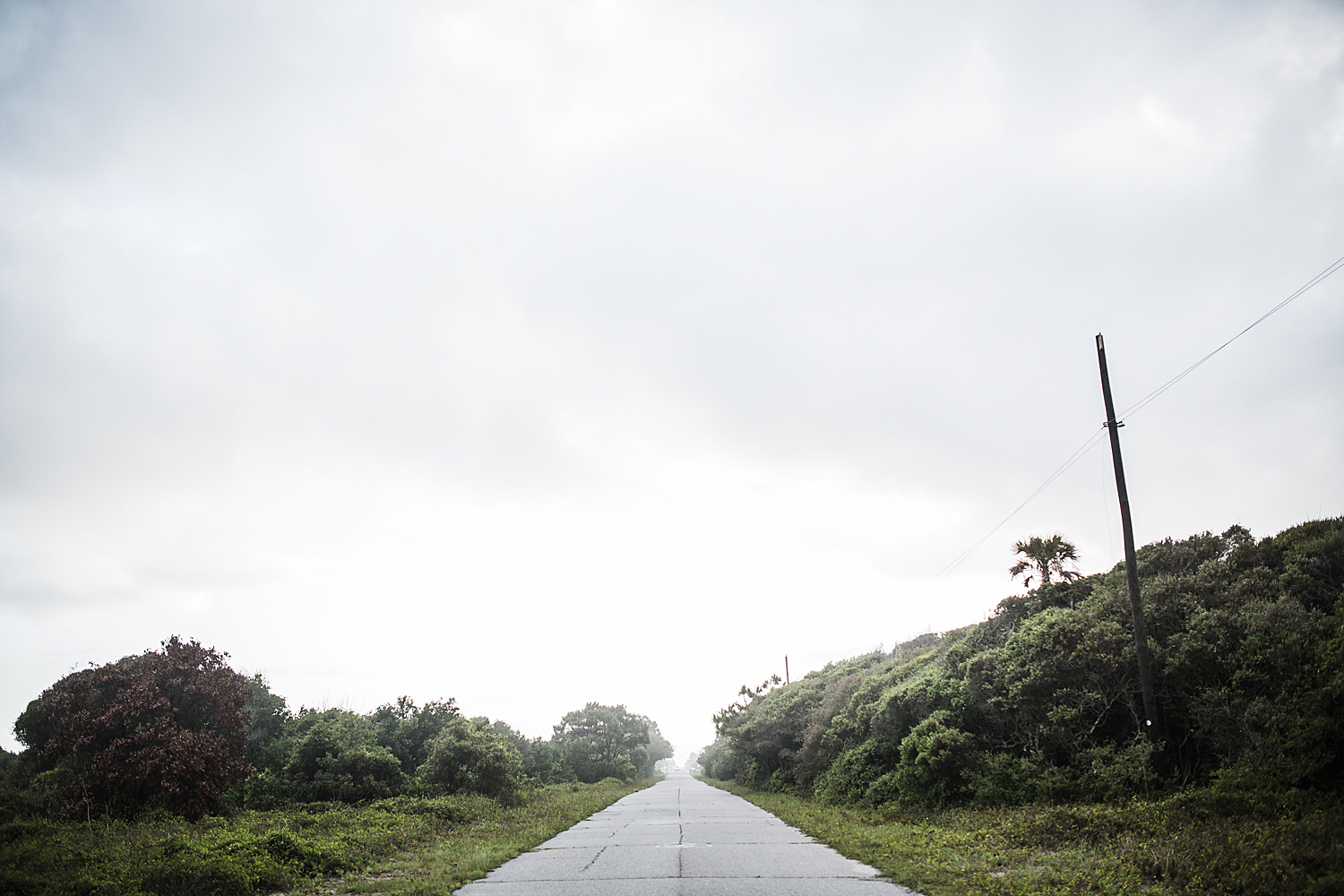 Photo of a paved trail extending into the distance