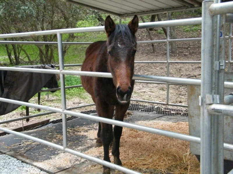 DSCF2578.jpg