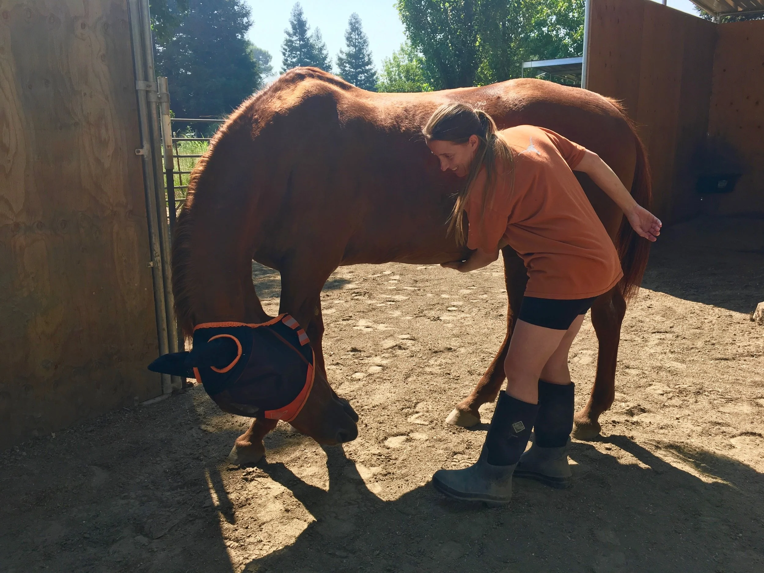 A good belly rub from foster mom, Christina is always a good thing!