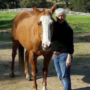 Laurie Dearinger, Director/Founder