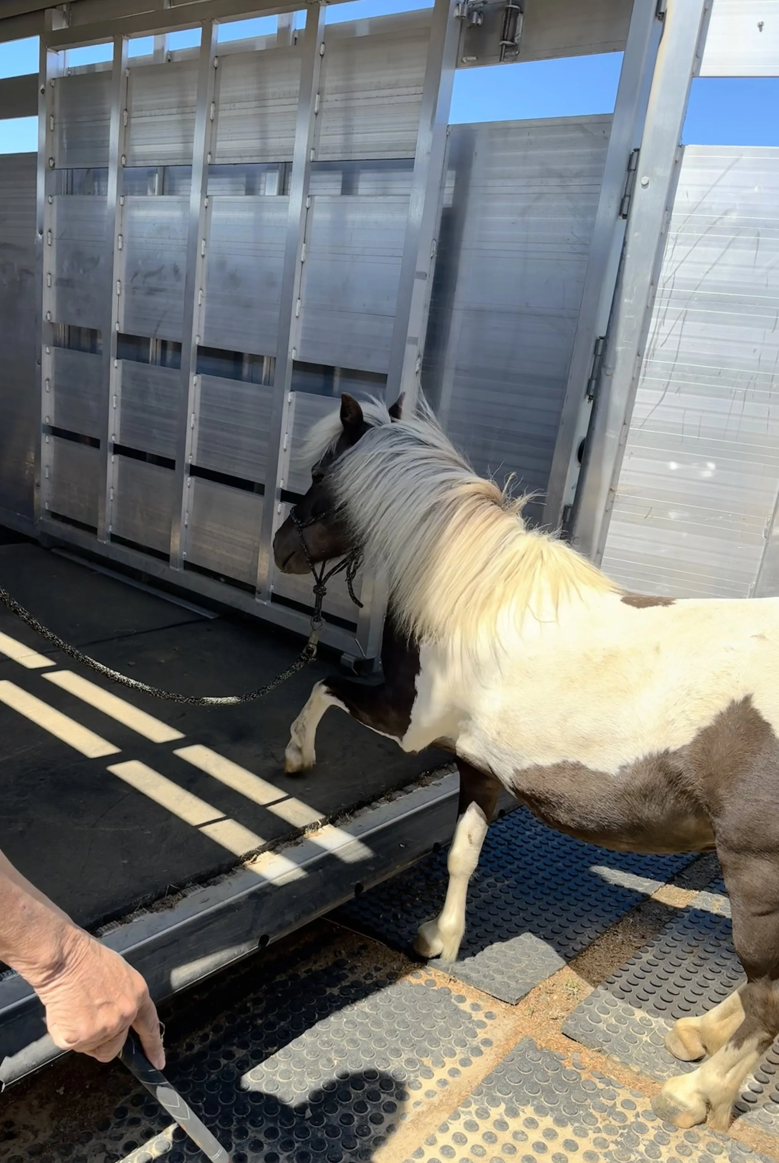 FullSizeRender 2.jpeg