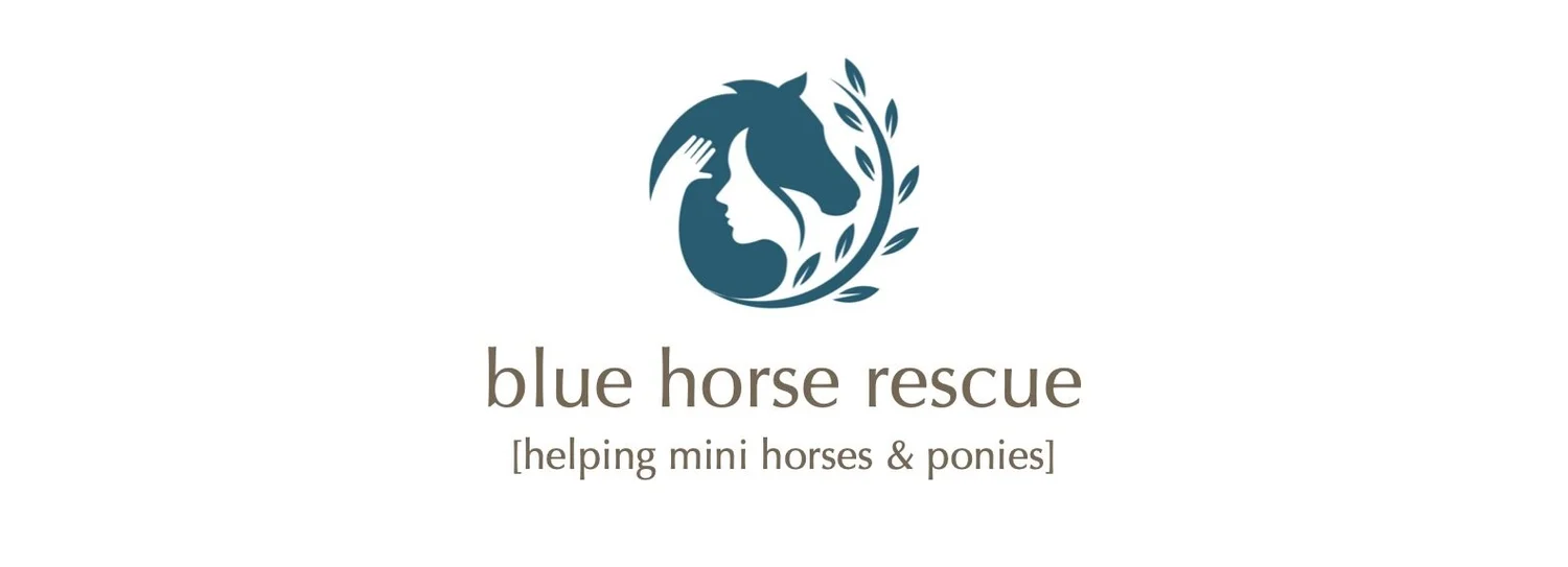 Blue Horse Rescue