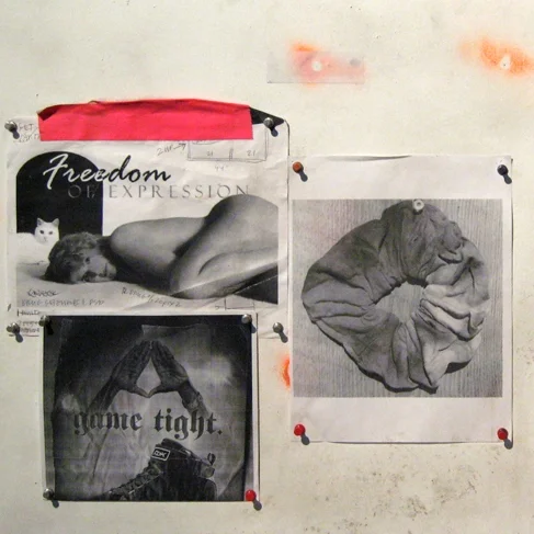 ross-Ho freedom of expression 22 x 44 copy.jpg