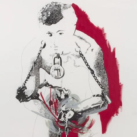 Bedford_Houdini (Pink Shadow)_2007_in frame.jpg