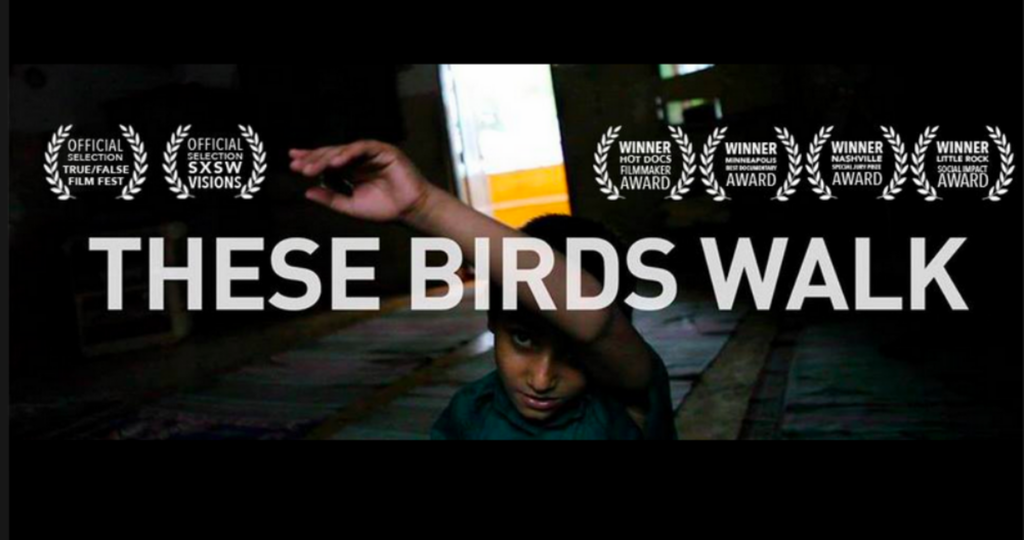 THESE BIRDS WALK (Copy)