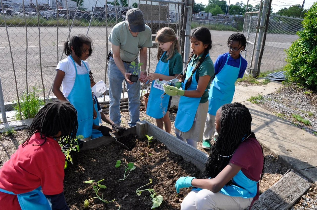 MDCC plants 2.jpg