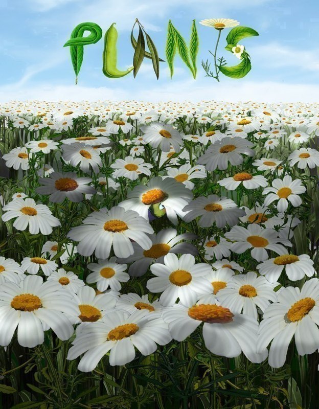 PLANTS_POSTER.jpg