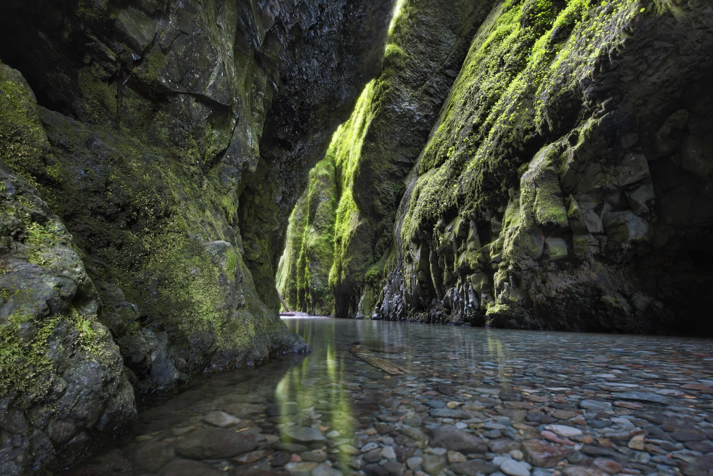 Oneonta Gorge | Oregon 