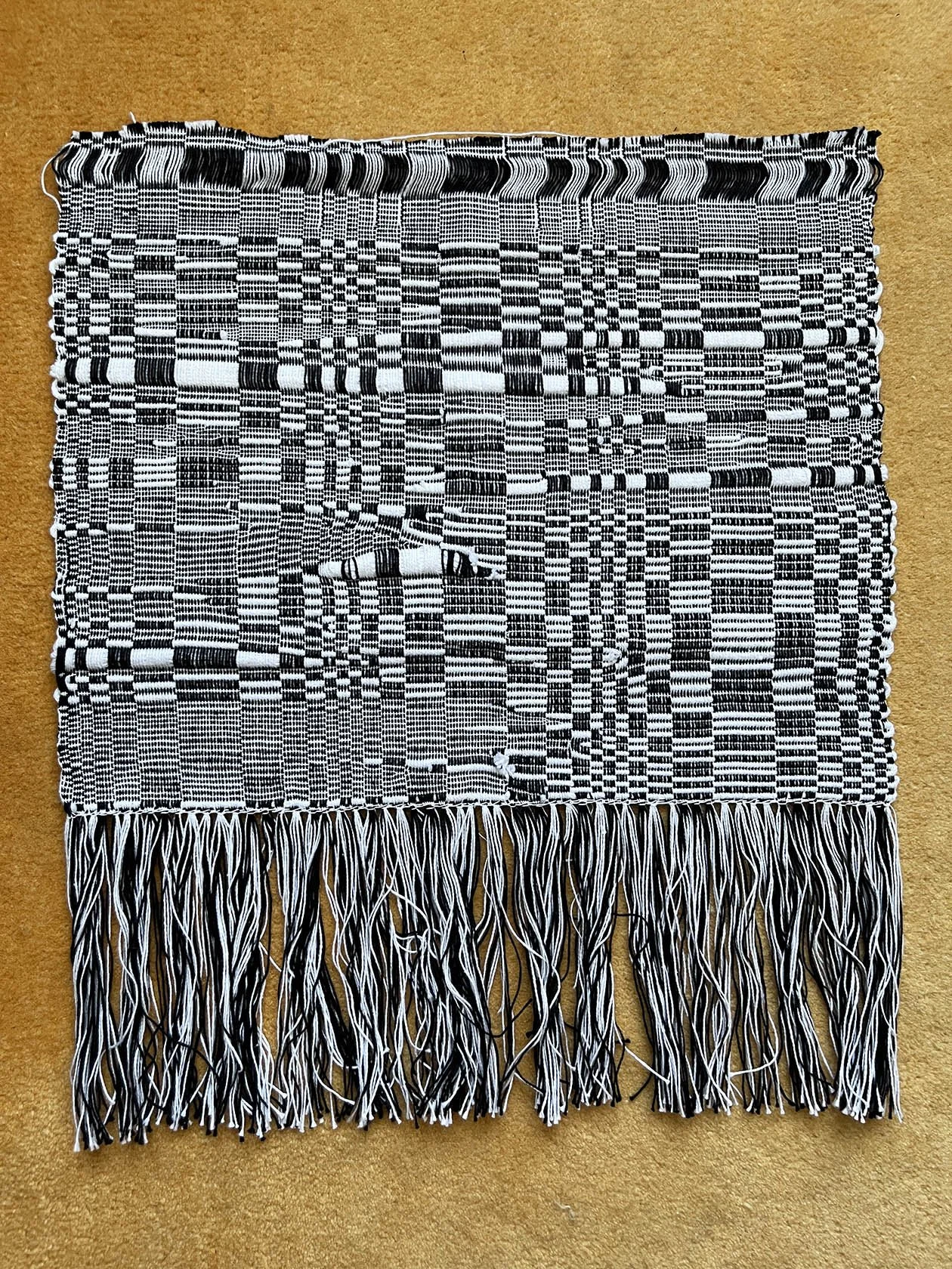 02_CarolAnnApilado_Glitches-2_2024.jpg