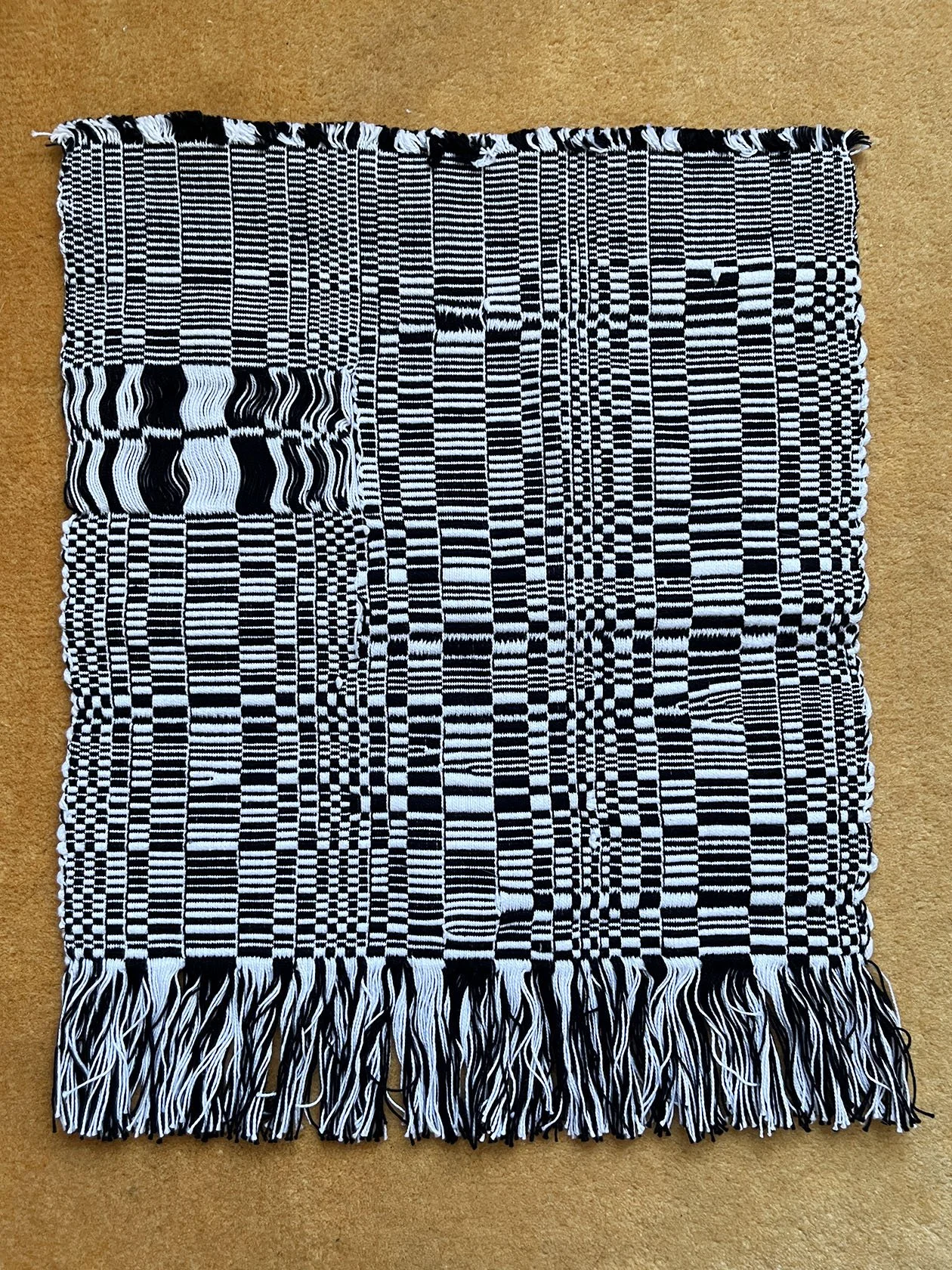04_CarolAnnApilado_Glitches-4_2024.jpg