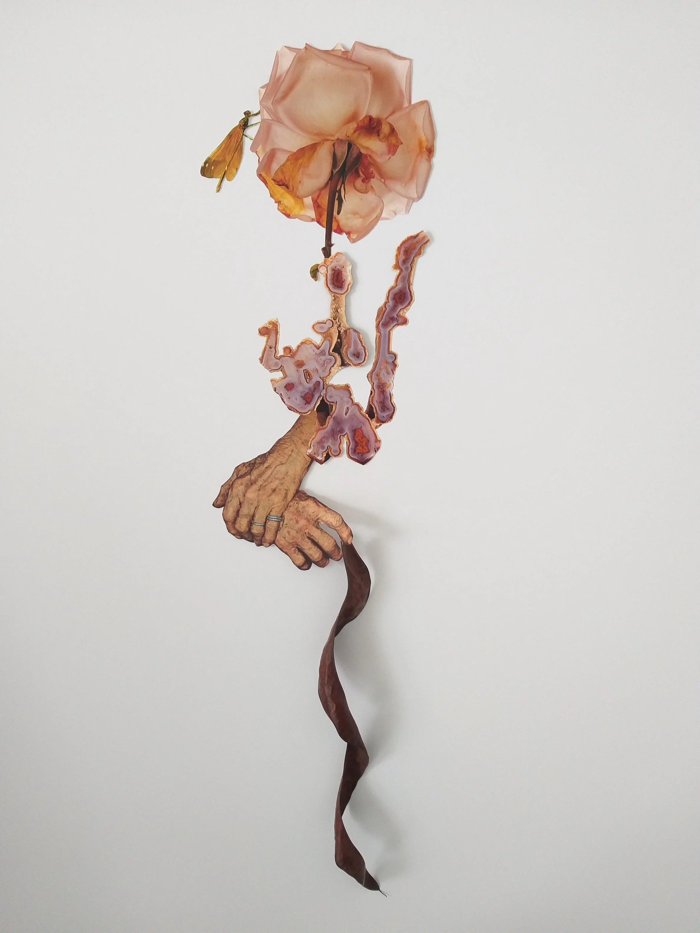 06_JenniferMurphy_Sluggish Persistence_2025.JPG