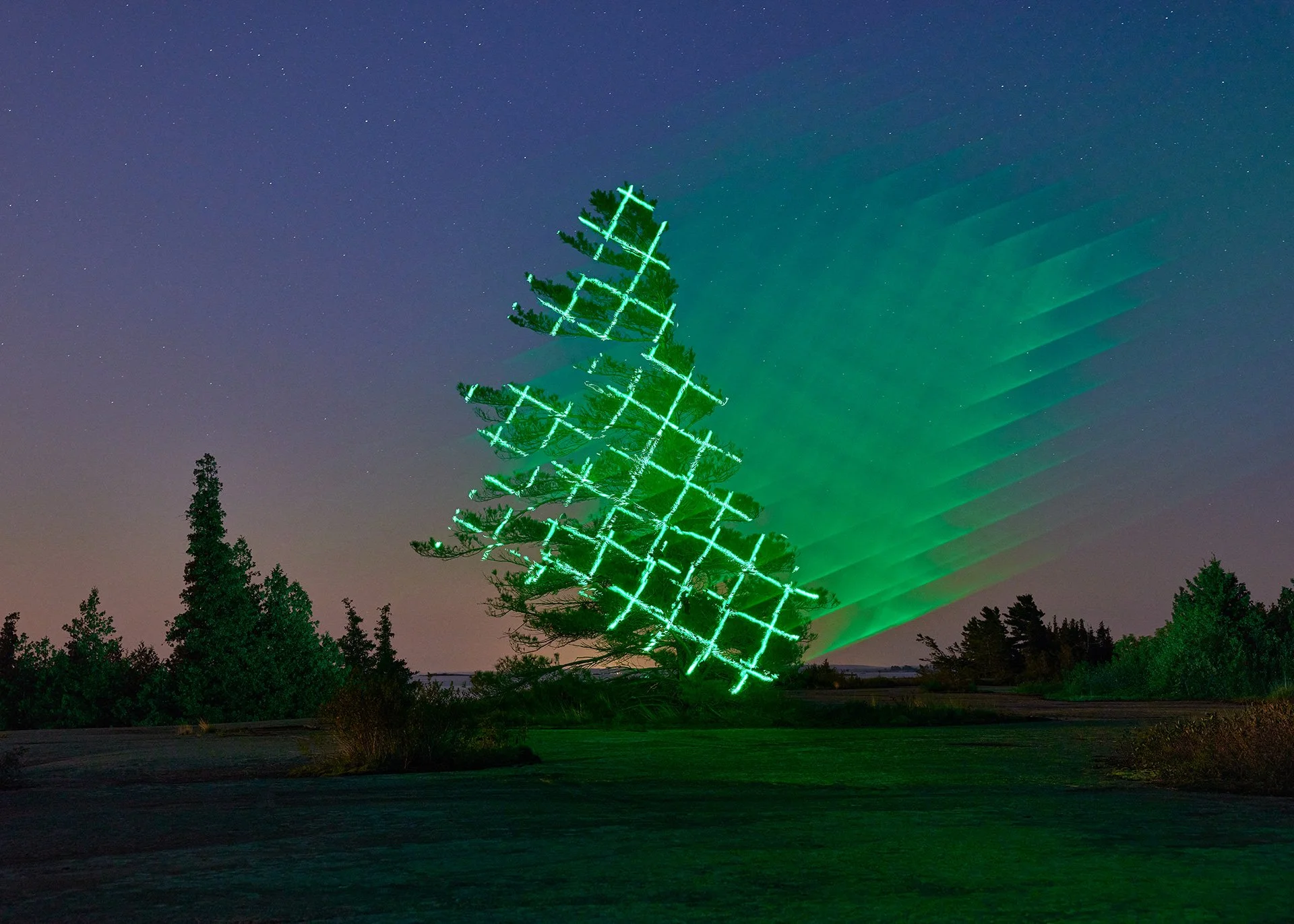 02_FinnOHara_SouthernLights_2026.jpg
