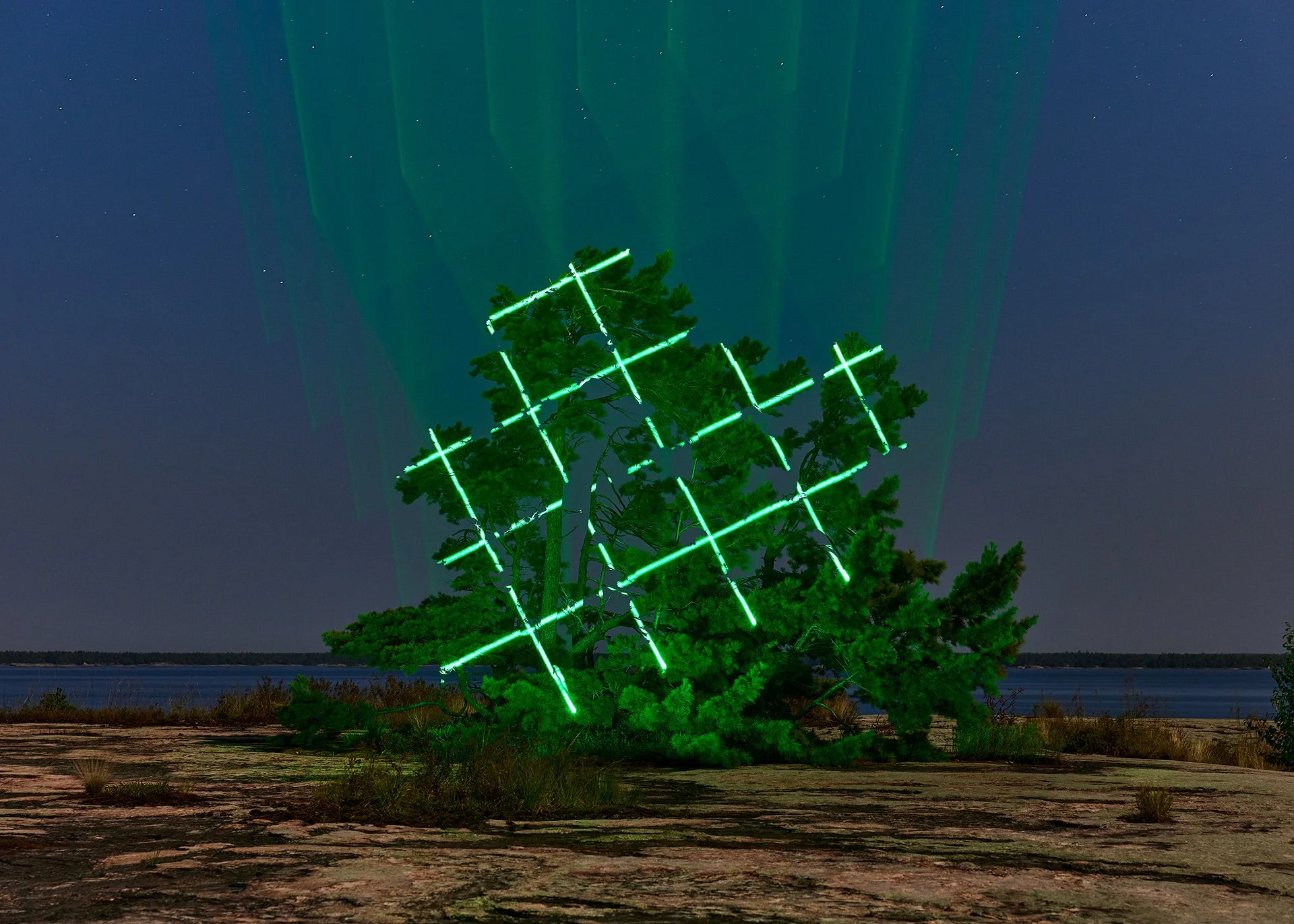 03_FinnOHara_TemporalPerspective_2026.jpg