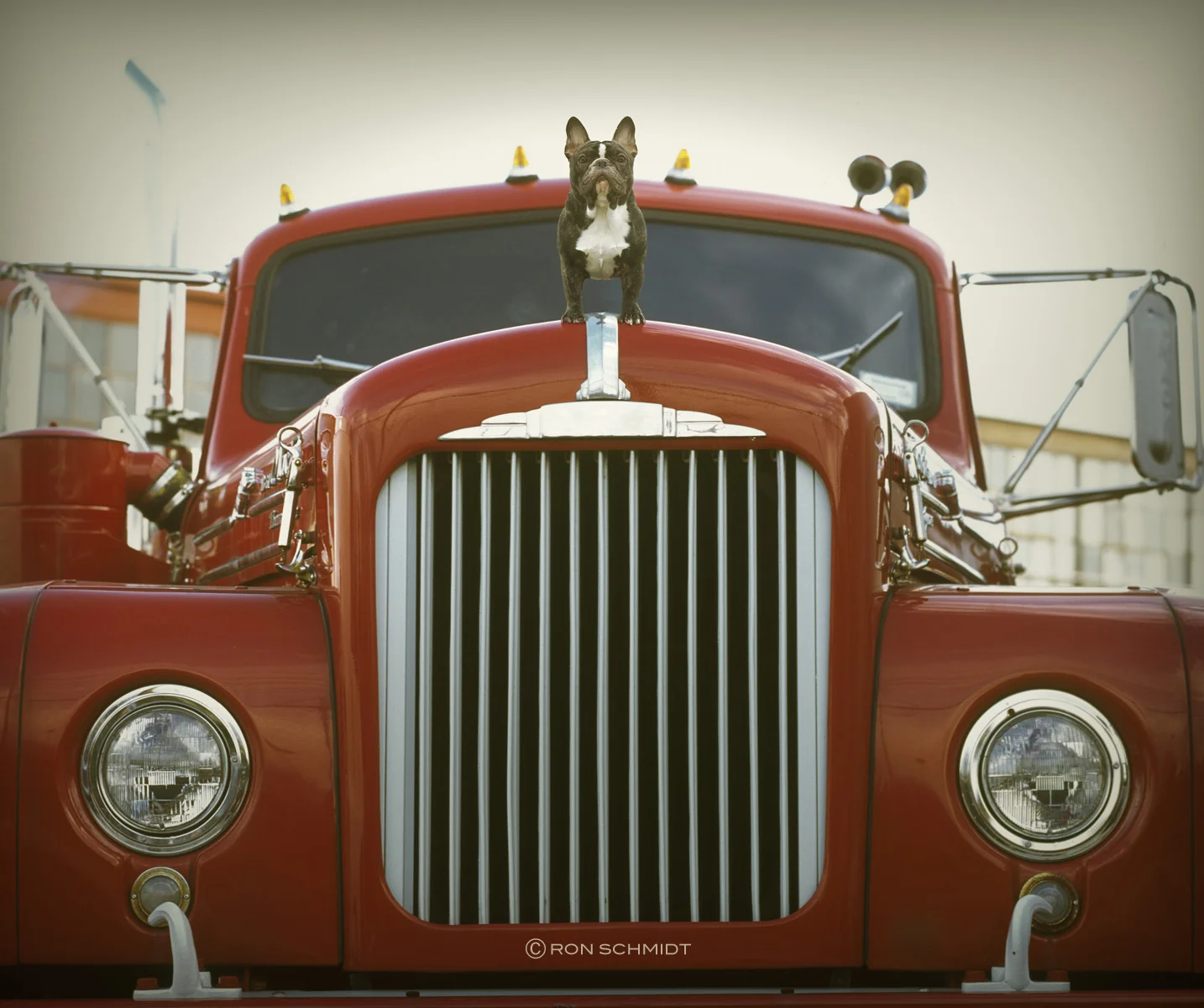 diesel.logo.ronschmidt copy.jpg