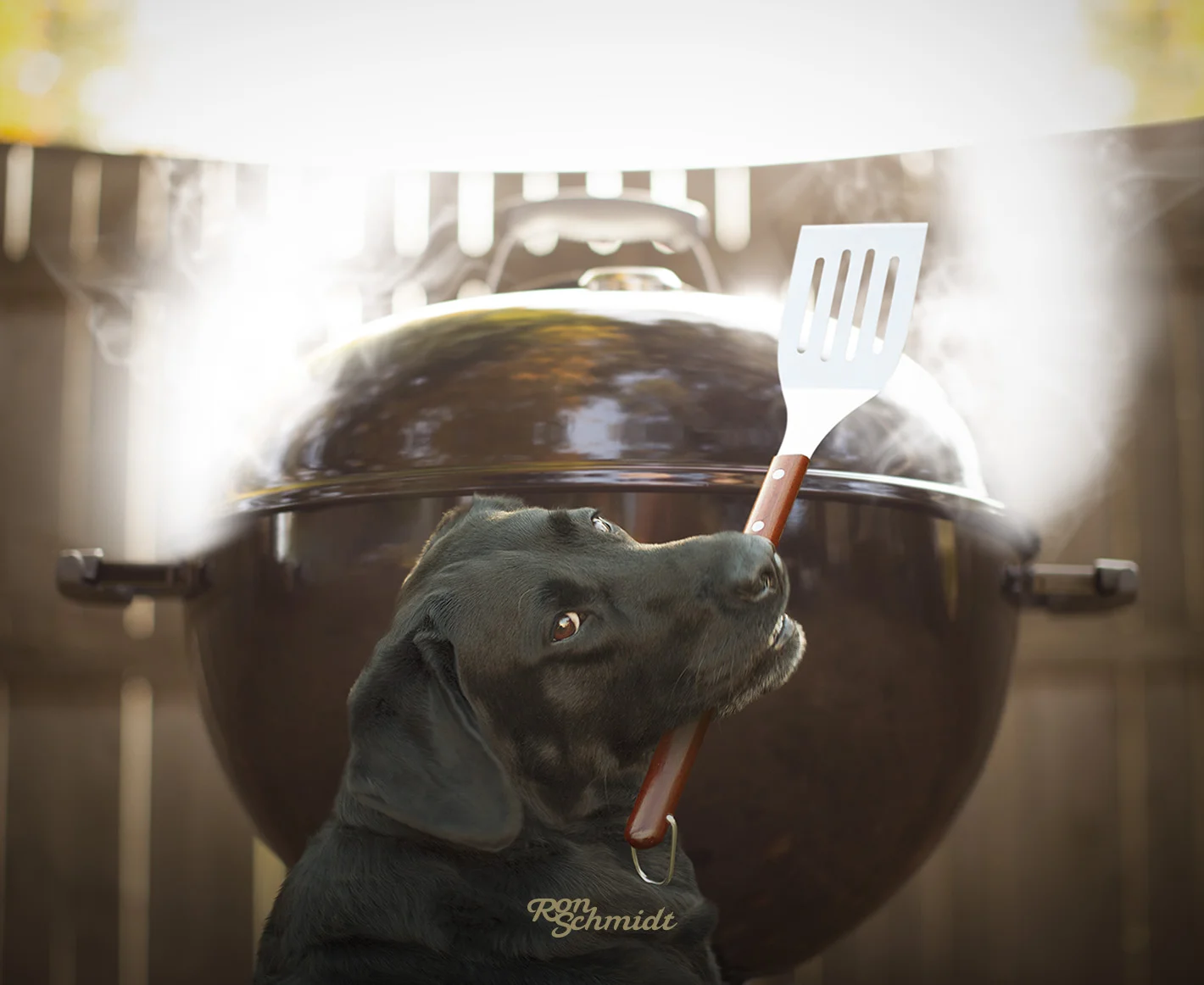 smokey.bbq.16x20.ronschmidt.jpg