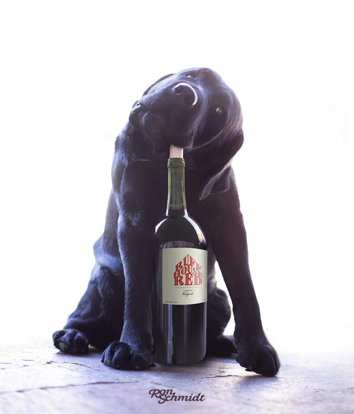 Copy of hooch