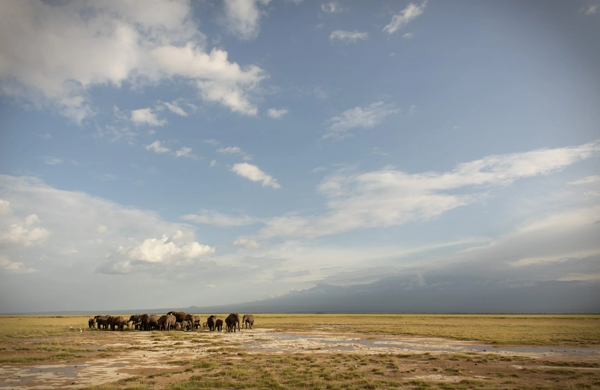 kenya.safari-1378.jpg