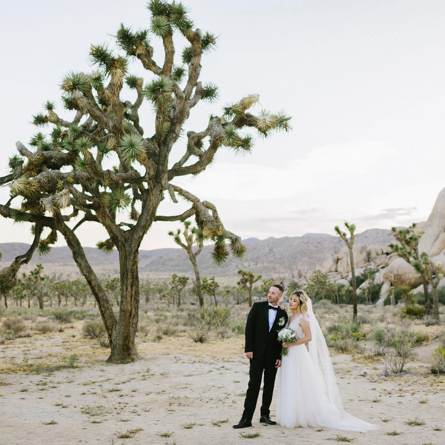 We recently got our wedding photos back from my cousin Paul! We couldn&rsquo;t be happier with how they turned out! It was hard to choose from the 200+ amazing shots that he sent us, but here&rsquo;s a few of our favorites. Huge thanks again to the t