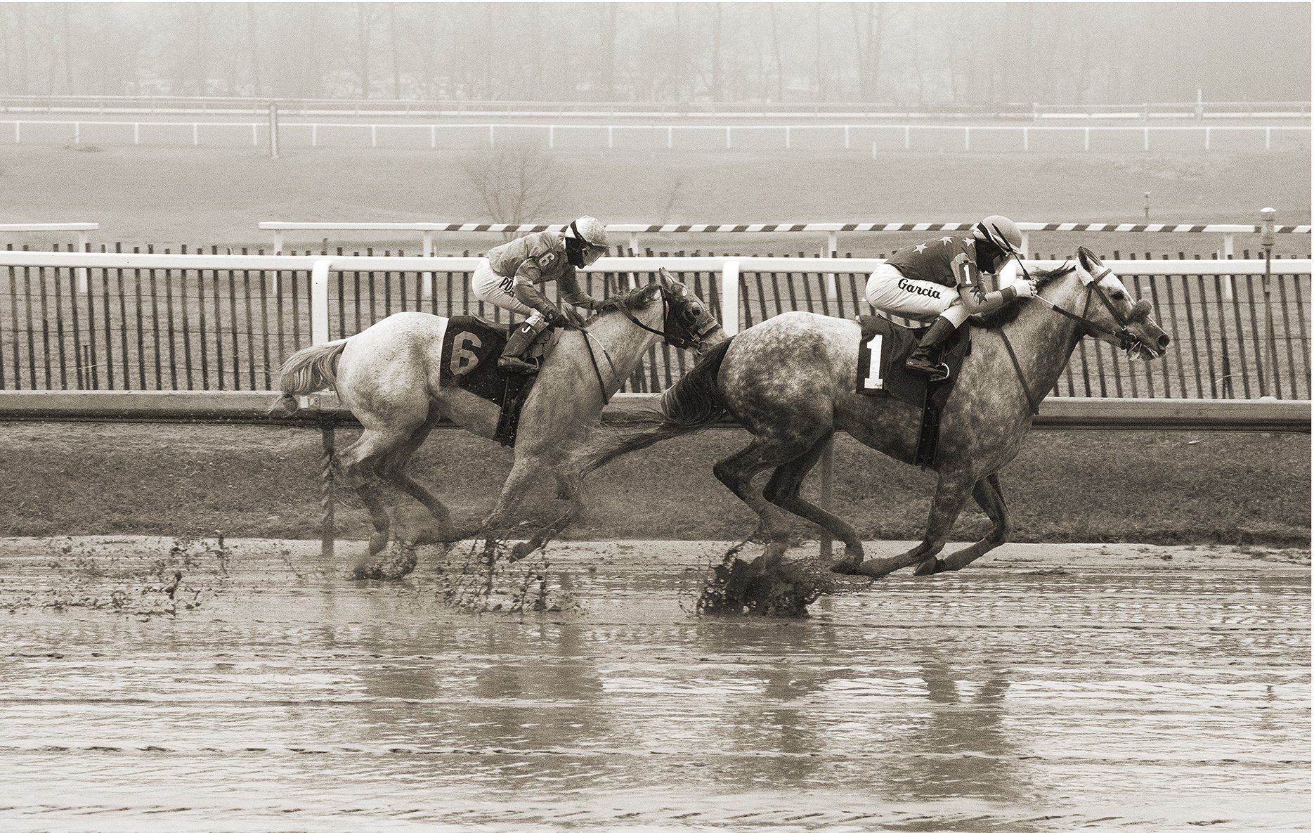 Photo © Albert Ewing-Two Muddy Horses-2-Horse Racing_WEBSITE_ALE3446.jpg