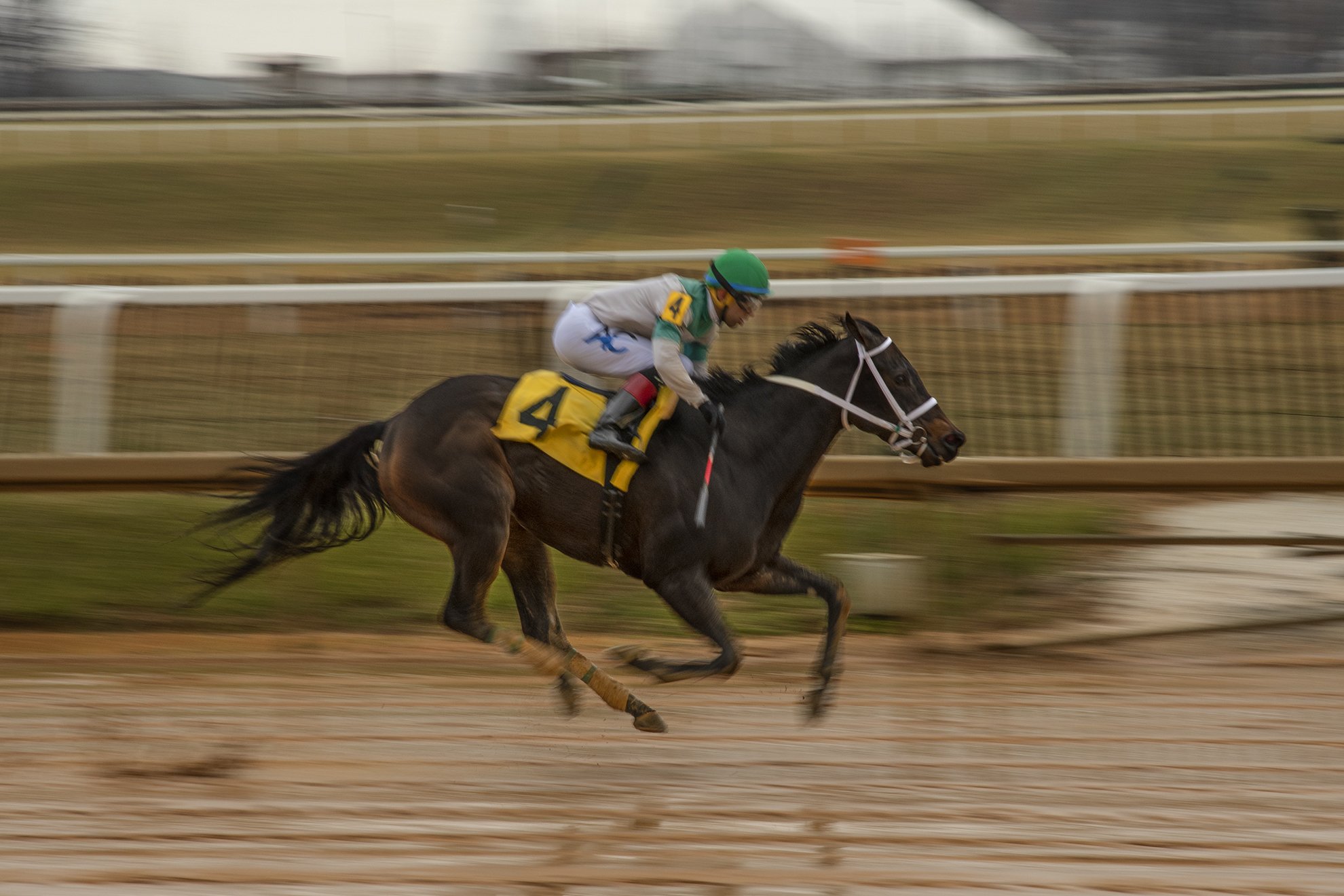 Photo © Albert Ewing-Horse In Flight-Color-Horse Racing-Laurel Park Stakes Day-WEBSITE_ALE2563.jpg