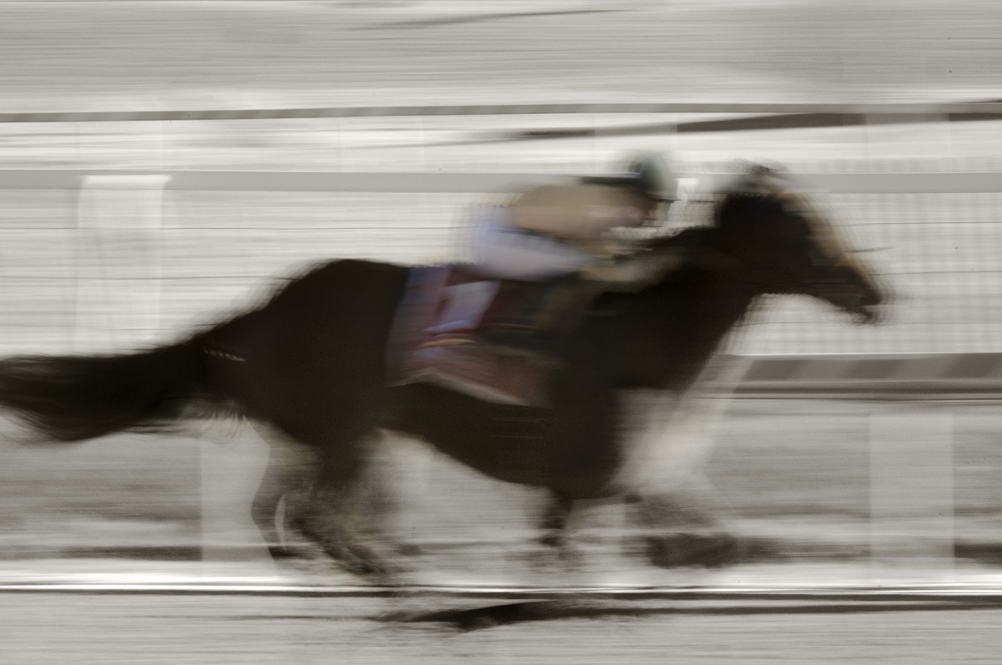 Photo © Albert Ewing-Running Horse-WEBSITE-Horse Racing-Laurel Park_DSC0024.jpg
