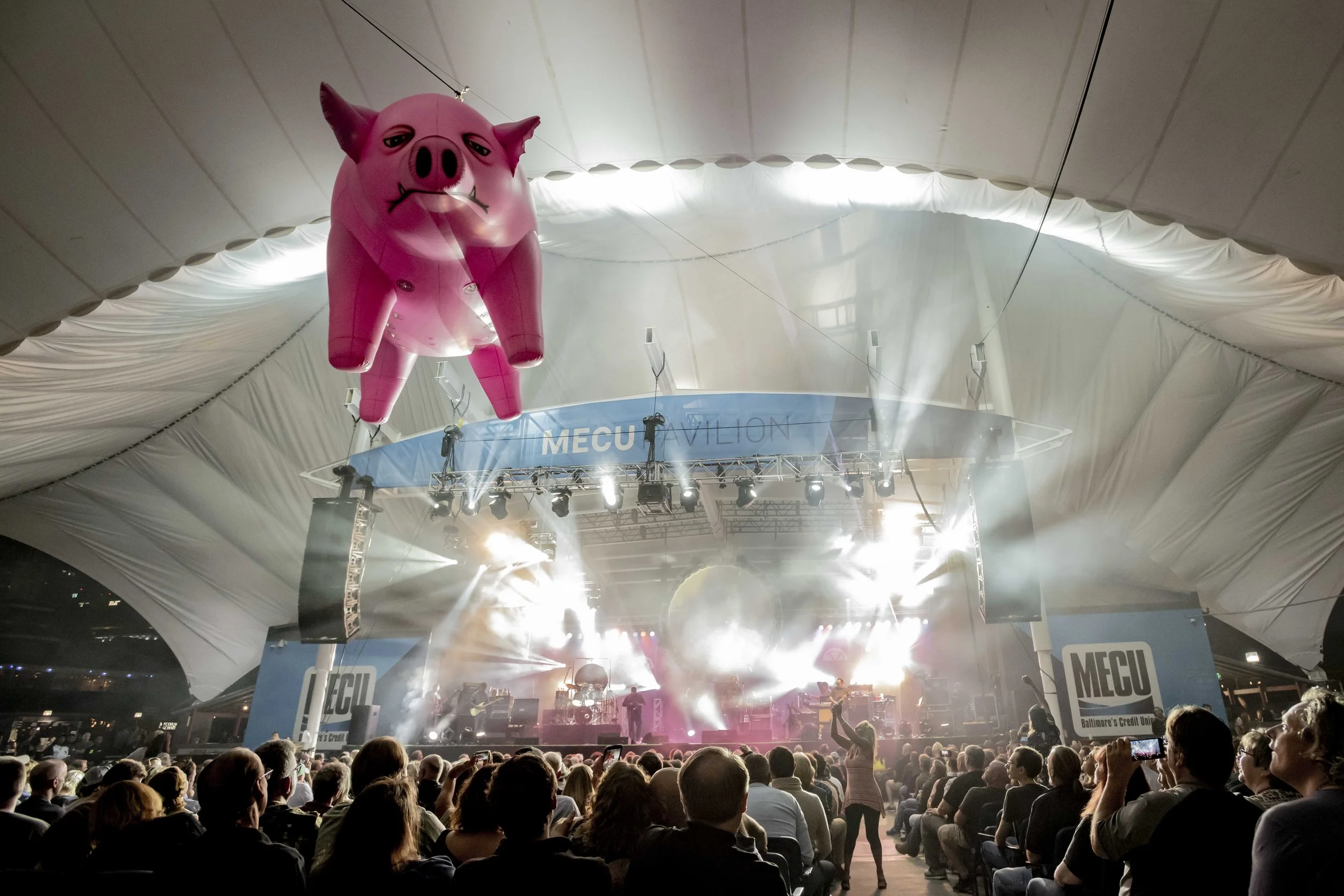  Several Species Pink Floyd Experience 2018/09/29 Baltimore MD       Photo © Albert Ewing 