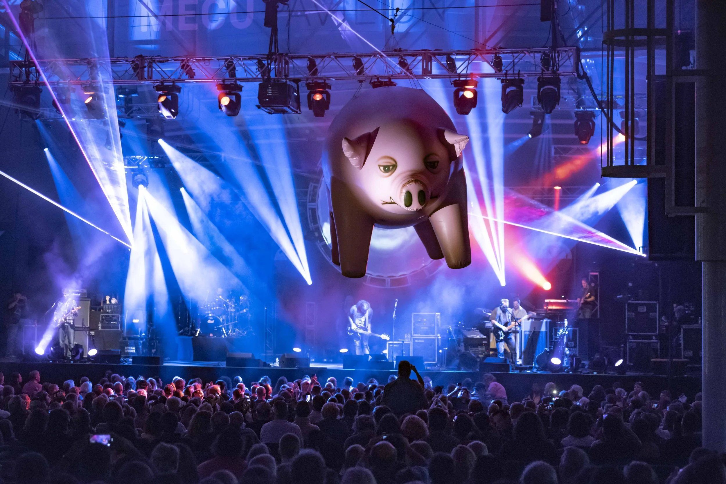  Several Species Pink Floyd Experience 2018/09/29 Baltimore MD       Photo © Albert Ewing 