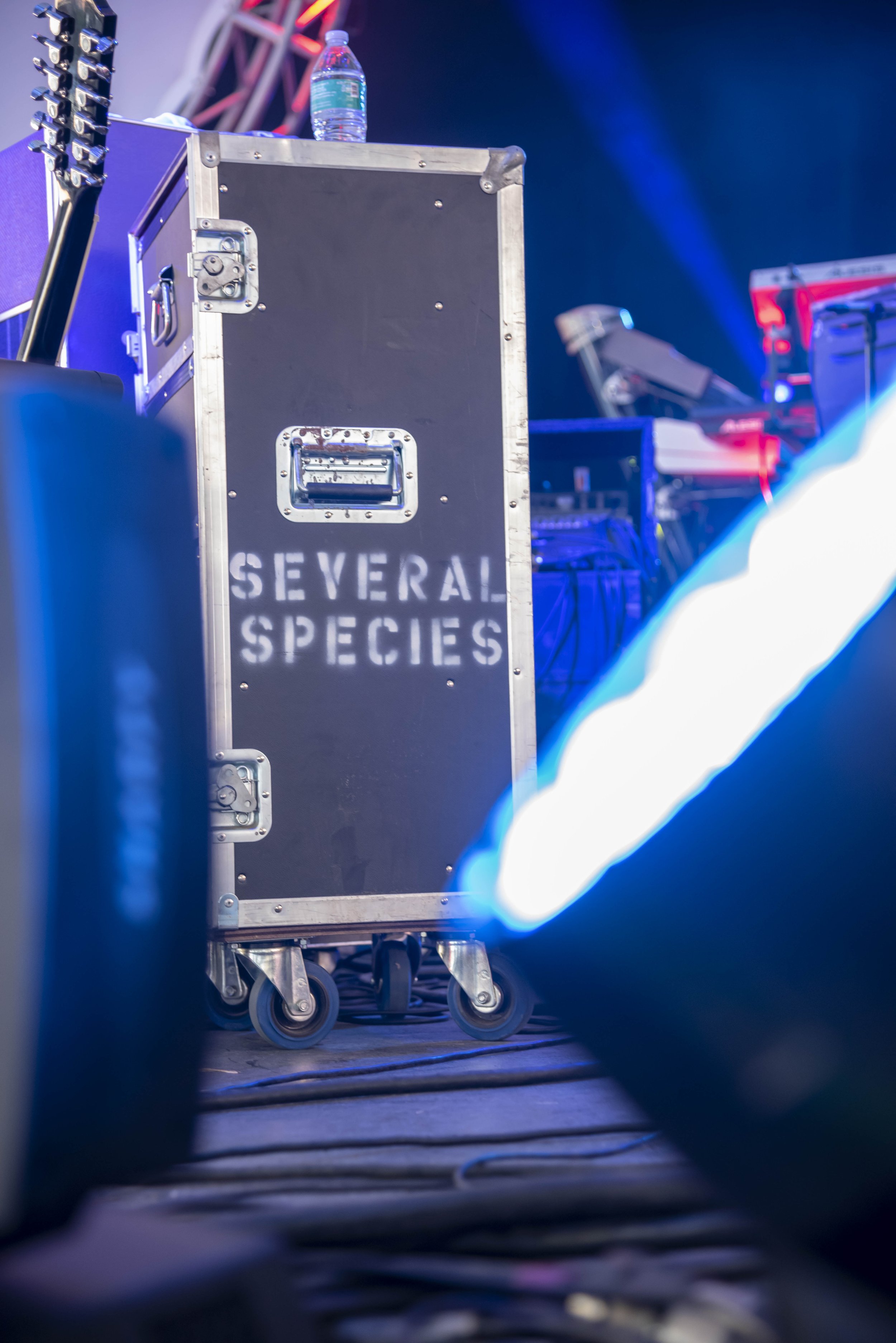  Several Species Pink Floyd Experience 2018/09/29 Baltimore MD       Photo © Albert Ewing 