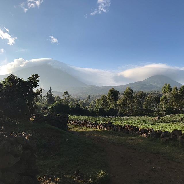 While our lockdown continues so too can our travel dreaming...today I close my eyes and think of the peaks of Muhabura and Gahinga, one climbed, one still to climb. A great challenge to look forward too. I remember how good it felt to reach the peak 