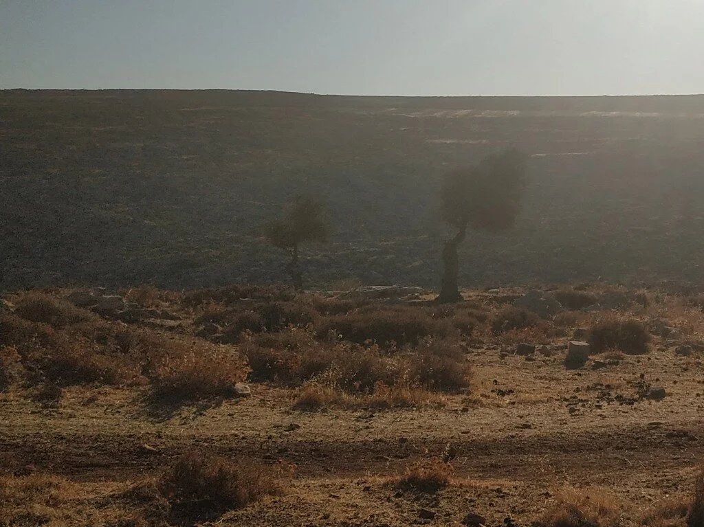 Dir Jarir by David Shulman