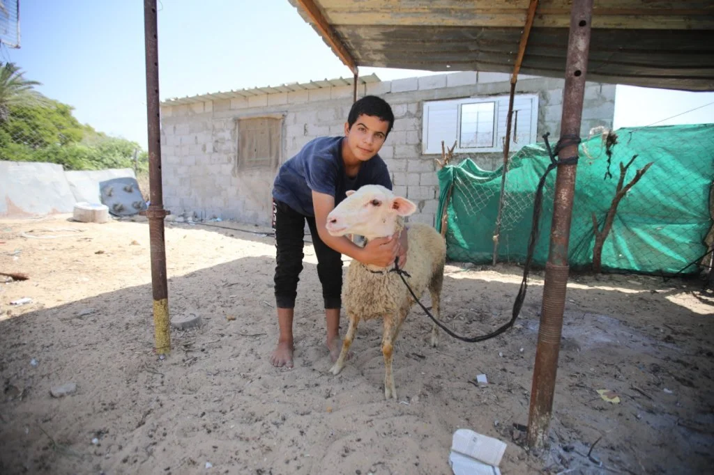 More Gaza families join Gardens, Goats, and More!