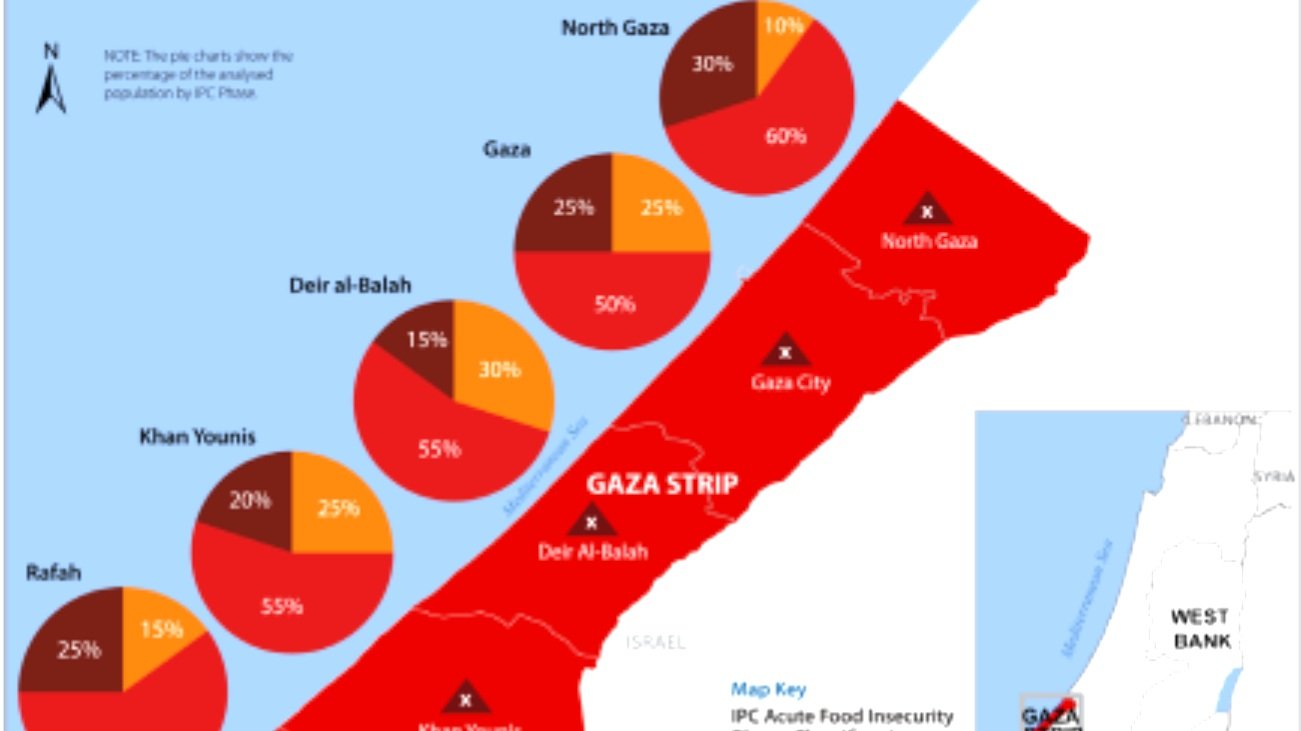 GAZA STRIP: IPC Acute Food Insecurity and Acute Malnutrition Special Snapshot