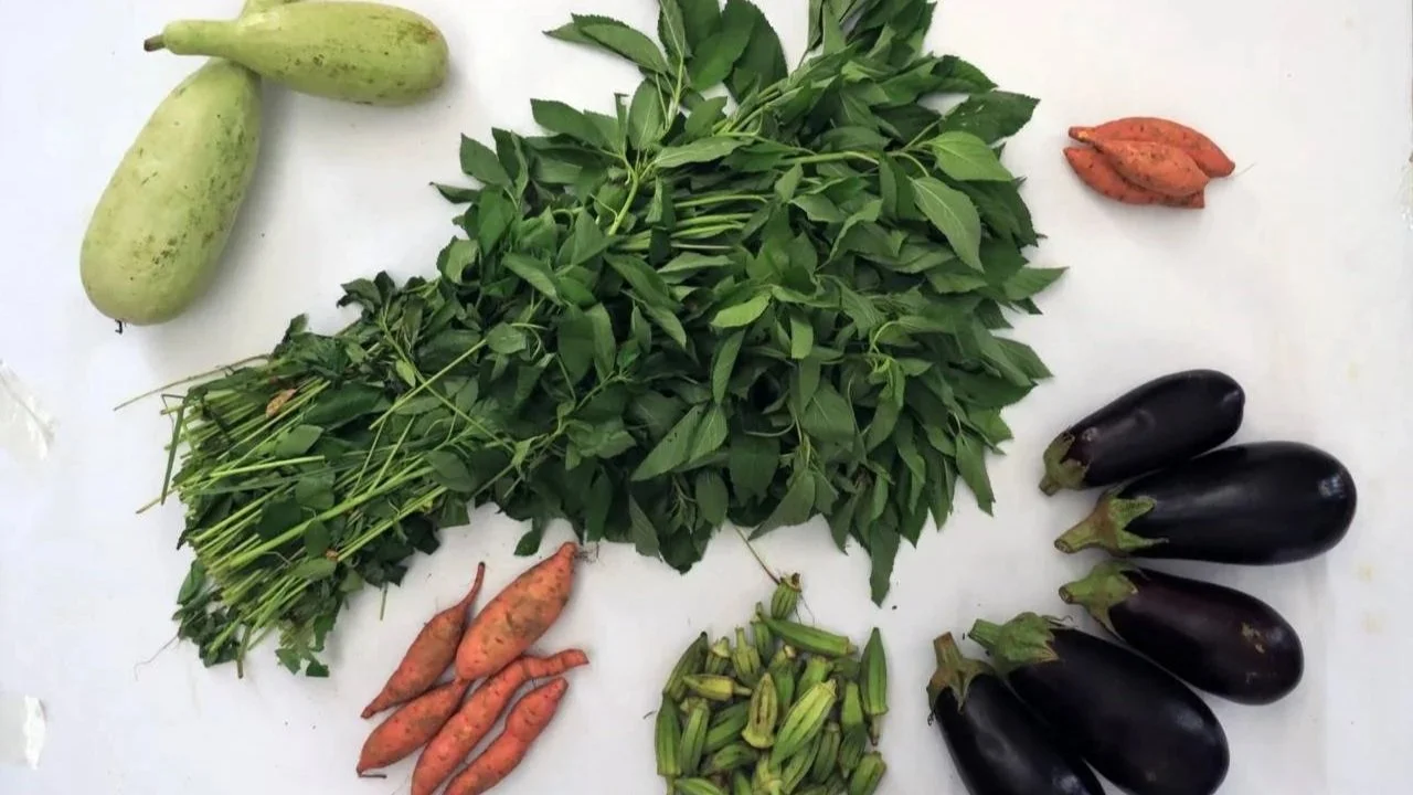 Our team in Gaza has launched the sixth round of food parcel deliveries to PKU patients across the Gaza Strip.