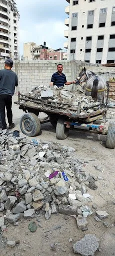 2. Collecting rubble-2 w horse vert.jpg