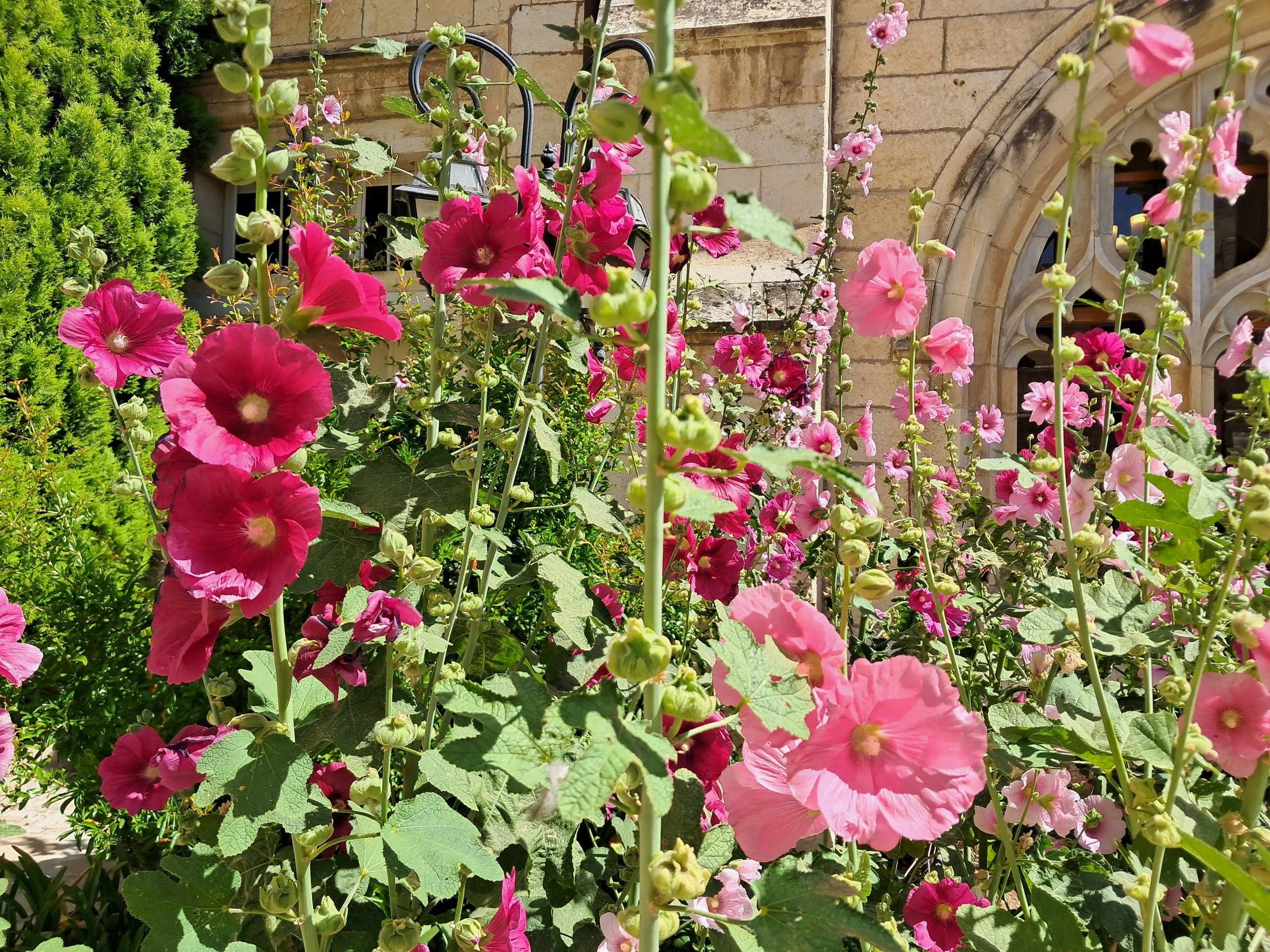 Country Representative