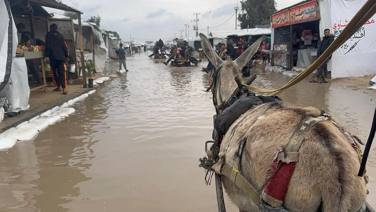 WhatsApp Image 2025-12-12 at 3.33.04 PM.jpeg