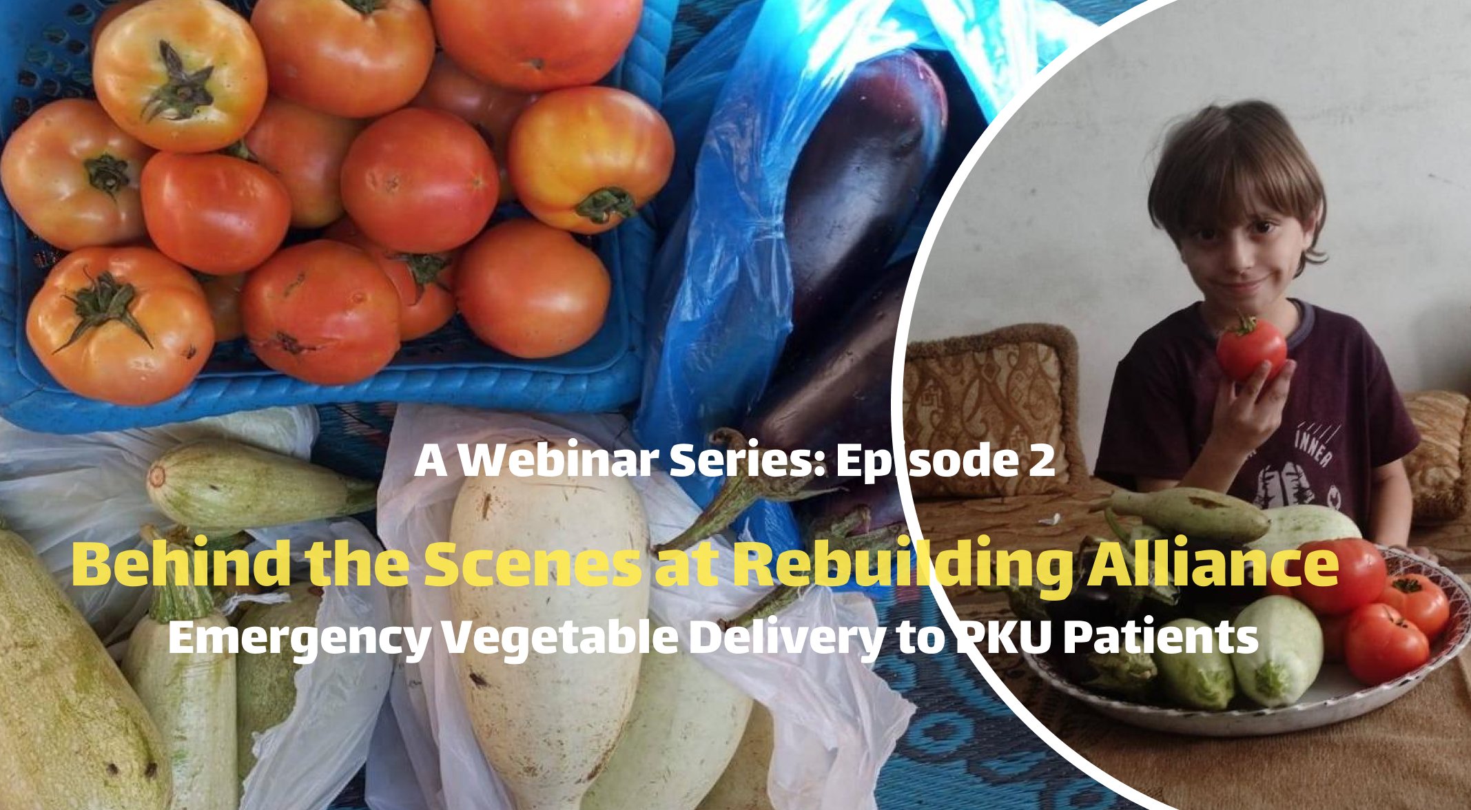 Webinar Series Web.jpg