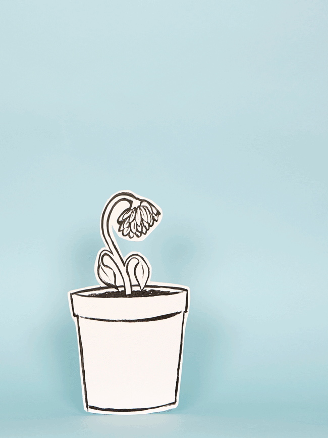 hair balm-gif.gif
