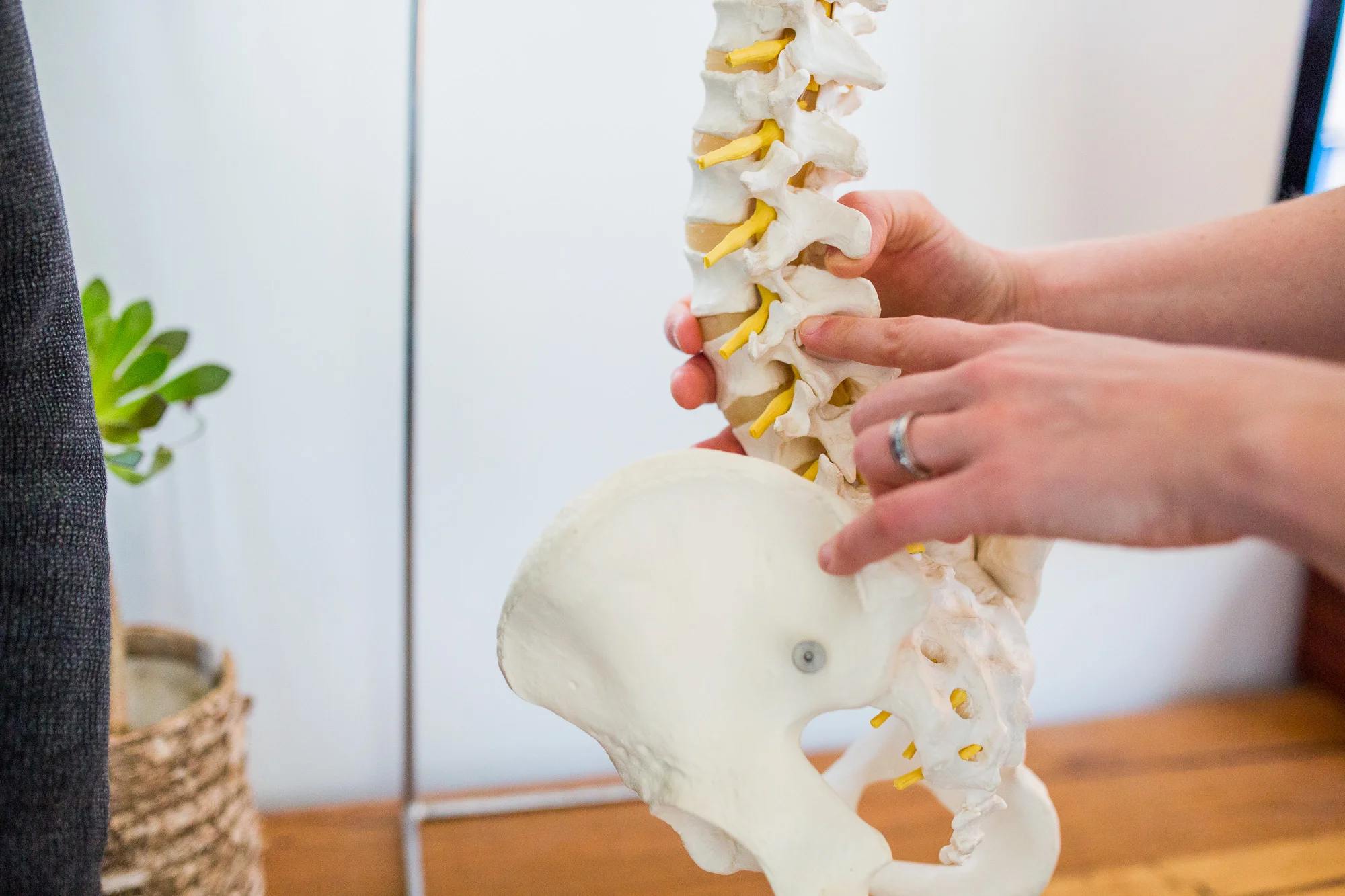 Quay Osteo Oct 2016_LR_090.JPG