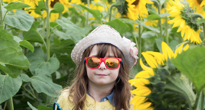 Screen Shot 2019-12-30 at 2.59.45 pm.png