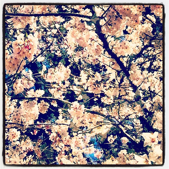 Durham, NC