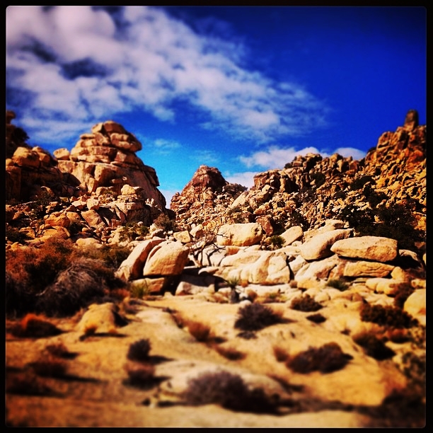 The Desert