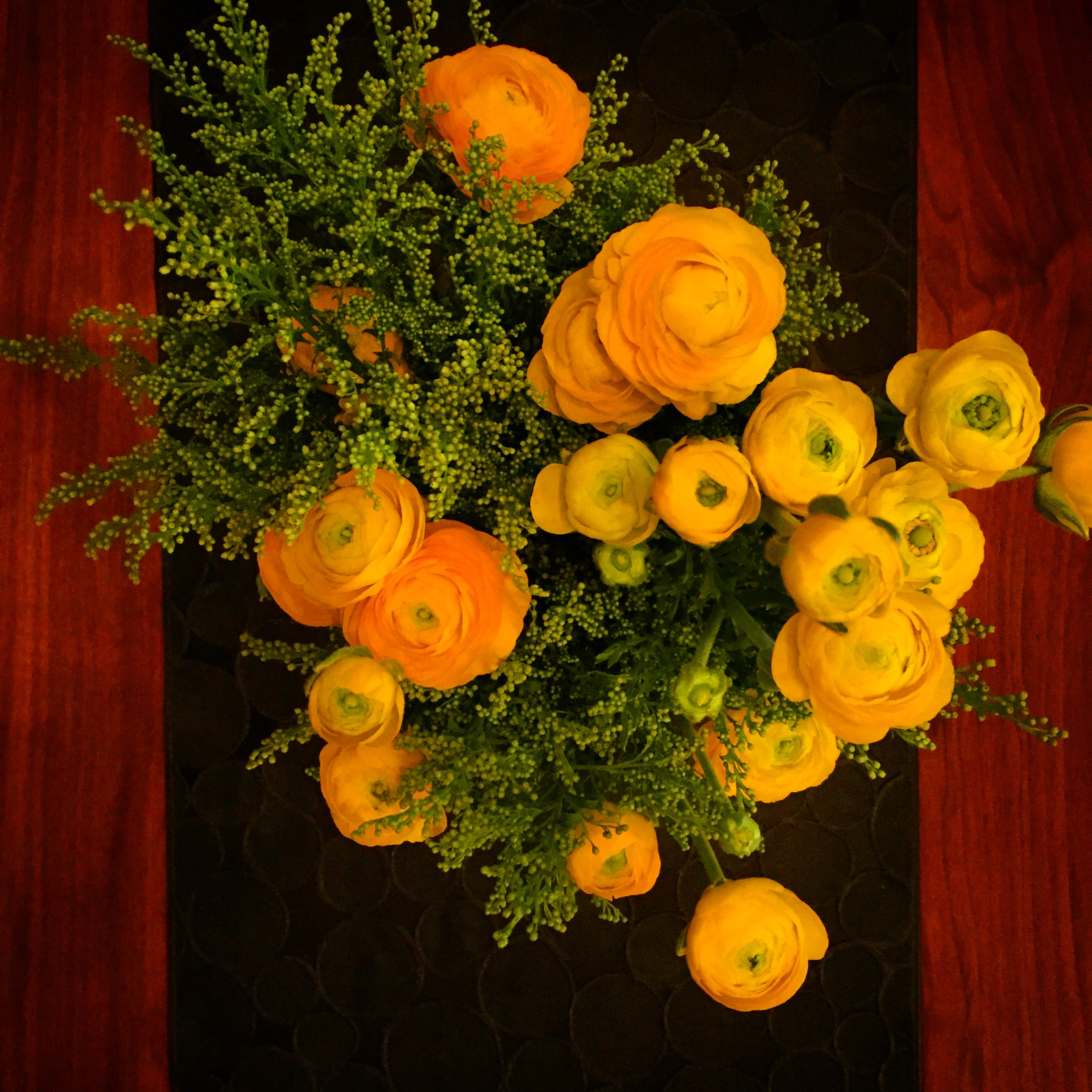 Persian buttercups